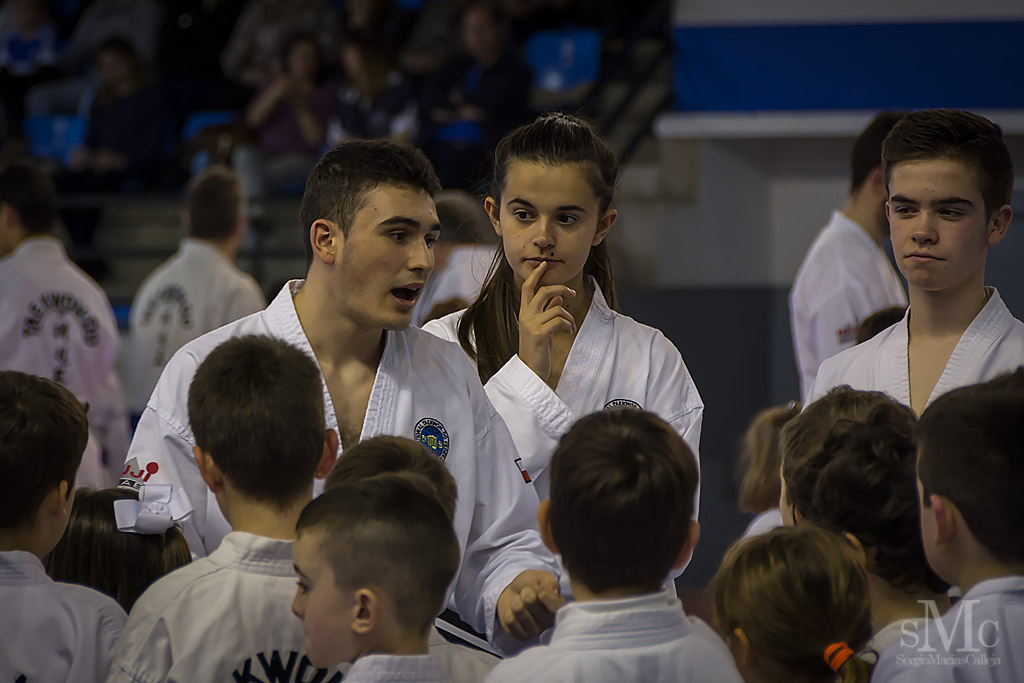 DIA DEL TAEKWONDO ABRIL 2017_3840.JPG